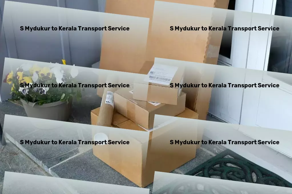 S Mydukur to Kerala Cargo Multi-regional cargo delivery